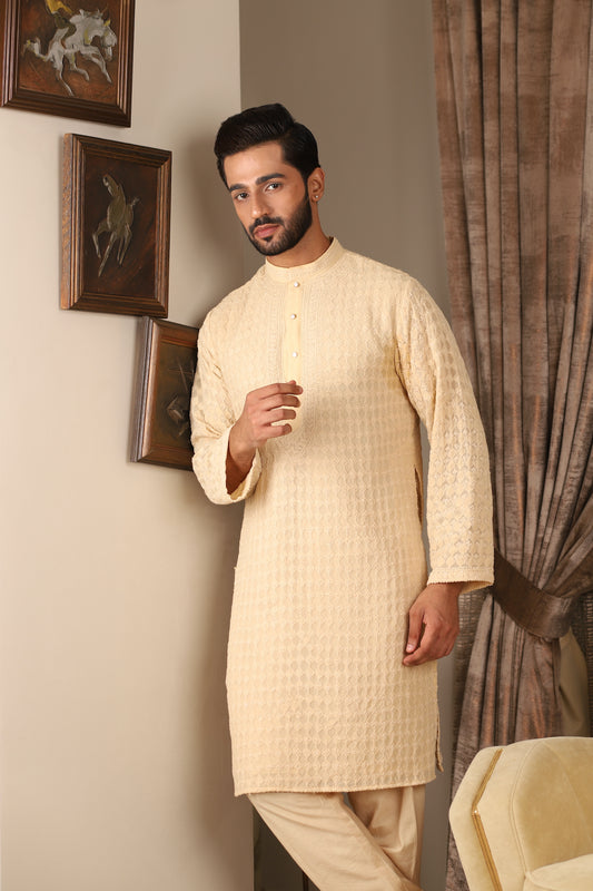 Vanilla Pure Georgette Chikankari Fully Embellished With Pearls